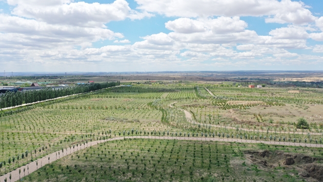 標(biāo)題：托縣綠博園
瀏覽次數(shù)：2514
發(fā)表時間：2019-10-31