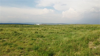 標(biāo)題：扎哈淖爾煤礦
瀏覽次數(shù)：2835
發(fā)表時間：2019-10-31