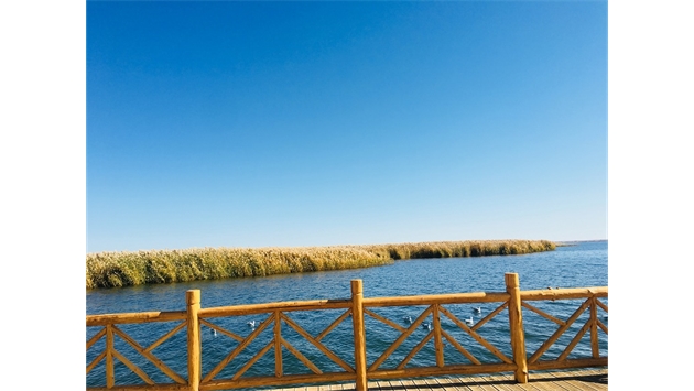 標(biāo)題：額濟(jì)納胡楊林景區(qū)
瀏覽次數(shù)：1984
發(fā)表時(shí)間：2020-10-16