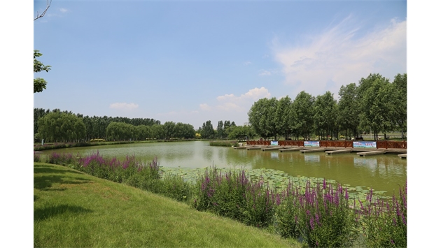 標(biāo)題：包頭市民公園
瀏覽次數(shù)：2050
發(fā)表時(shí)間：2020-10-16