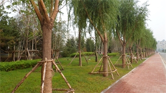 標題：通遼市勝利北路道路景觀綠化
瀏覽次數(shù)：1956
發(fā)表時間：2020-10-16