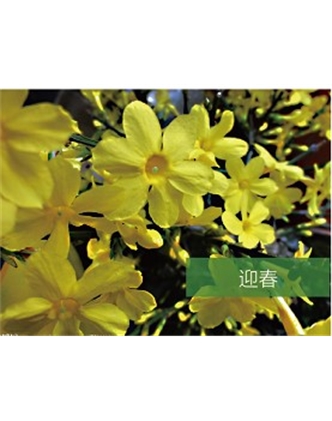 標(biāo)題：?jiǎn)坦嗄?瀏覽次數(shù)：1748
發(fā)表時(shí)間：2020-10-17