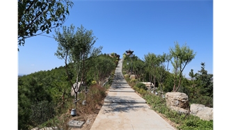 標(biāo)題：張家口太子山山體修復(fù)
瀏覽次數(shù)：19349
發(fā)表時間：2020-11-12